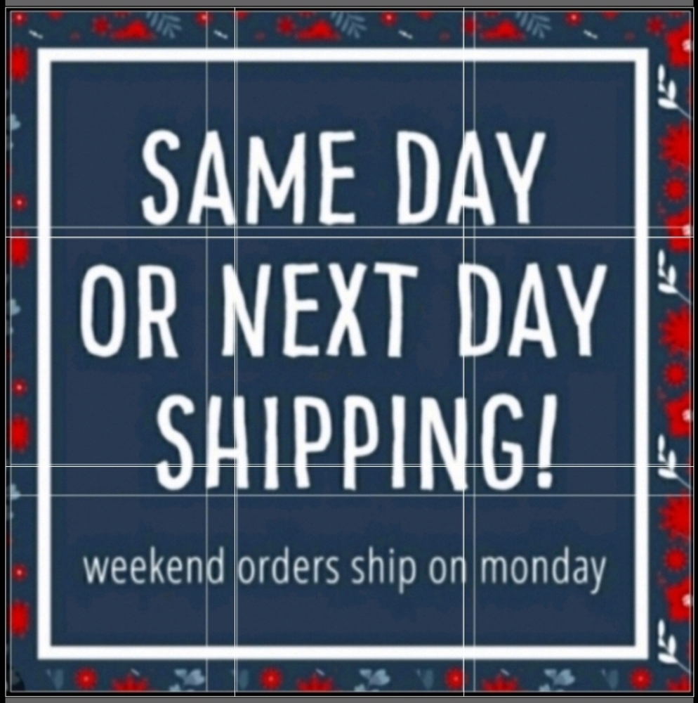 NWT Revolt Denim Women's Embroidery Shorts. Size 22W. - Picture 9 of 9